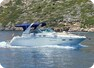 Sea Ray 310 Sundancer Wellenantrieb - barco a motor