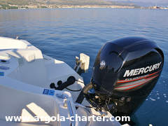 Motorboot Quicksilver Commander 635 Bild 8