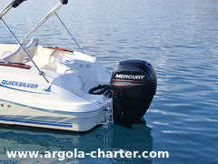 Motorboot Quicksilver Commander 635 Bild 10