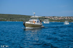 motorboot Sasanka Courier 970 Afbeelding 2