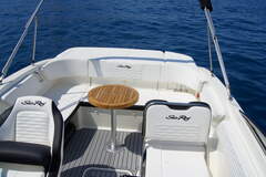 Motorboot Sea Ray 210 SPX Bild 10